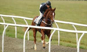 O'Brien wishing upon a Star for sprint double